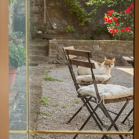 Апартаменты Old Istrian House With Jacuzzi