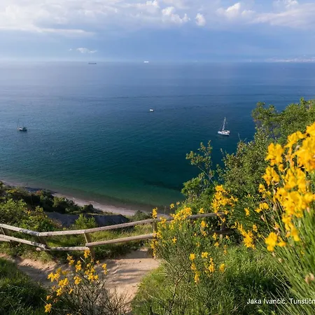 Apartman Old Istrian House With Jacuzzi Koper