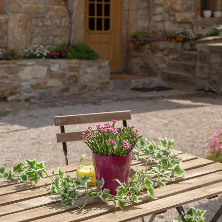 Old Istrian House With Jacuzzi Апартаменты *